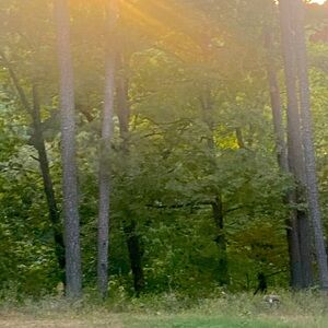 Meet your Posher, Beka